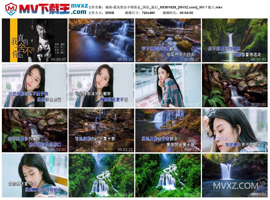 谢涛-我真的舍不得你走_国语_流行_ME901629